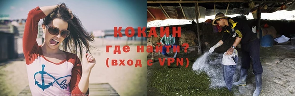мет Арсеньев