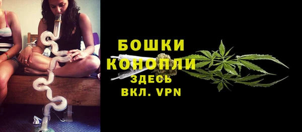 мет Арсеньев