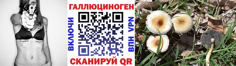 Псилоцибиновые грибы GOLDEN TEACHER  ссылка на мегу как зайти  Ленинск 